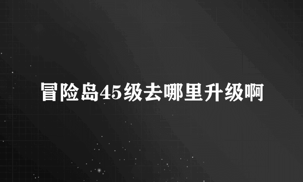 冒险岛45级去哪里升级啊