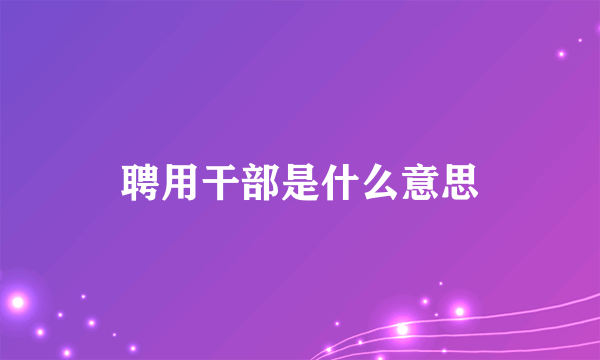 聘用干部是什么意思