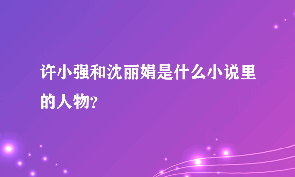 许小强和沈丽娟是什么小说里的人物？