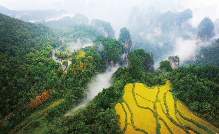 张家界风景区位于我国的哪一个省份？