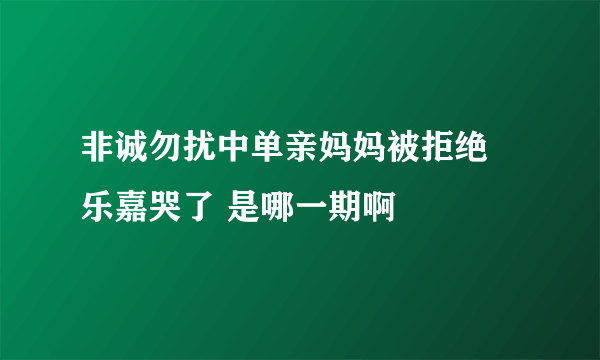 非诚勿扰中单亲妈妈被拒绝 乐嘉哭了 是哪一期啊