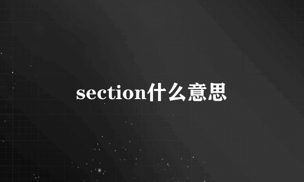 section什么意思