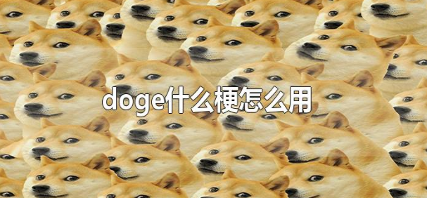 (doge)是什么梗?