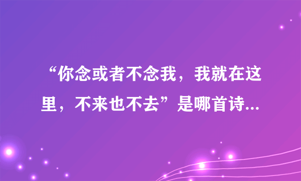 “你念或者不念我，我就在这里，不来也不去”是哪首诗里面的句子？