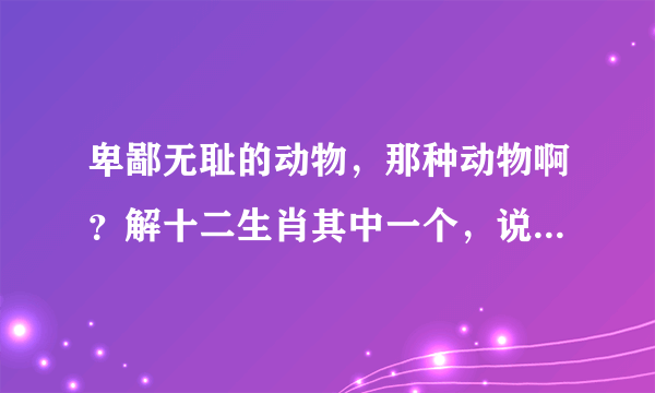 卑鄙无耻的动物，那种动物啊？解十二生肖其中一个，说出你的理由。