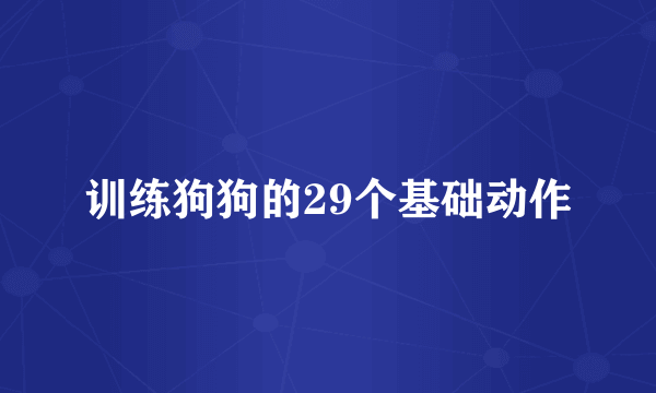 训练狗狗的29个基础动作