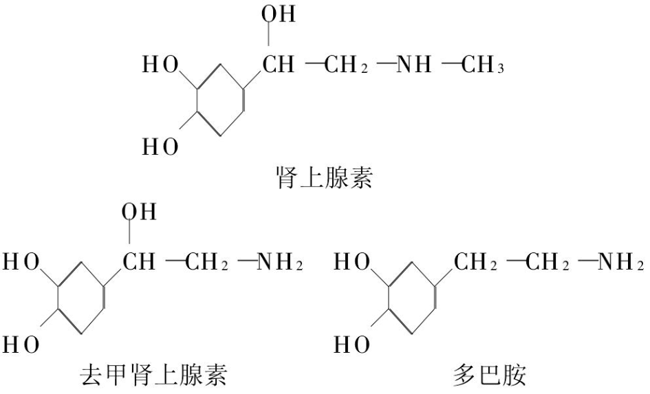 什么是儿茶酚胺？