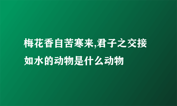 梅花香自苦寒来,君子之交接如水的动物是什么动物