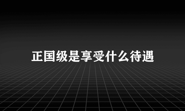 正国级是享受什么待遇