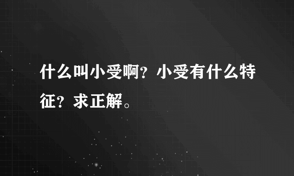 什么叫小受啊？小受有什么特征？求正解。