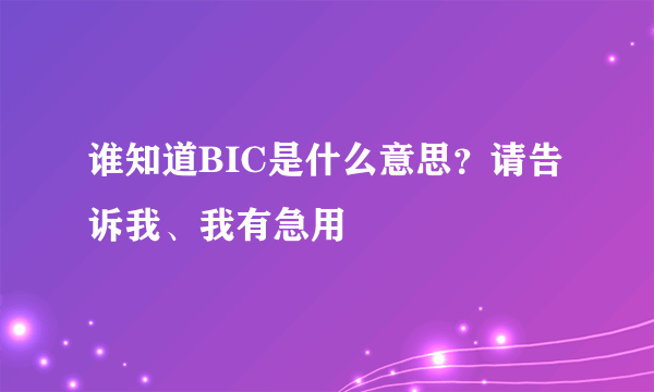 谁知道BIC是什么意思？请告诉我、我有急用