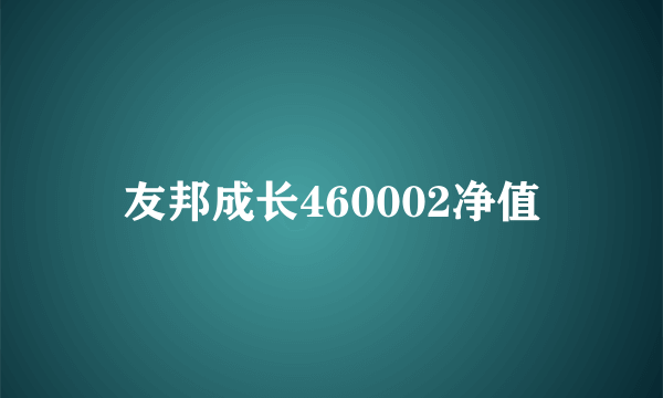 友邦成长460002净值