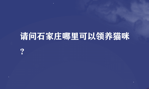 请问石家庄哪里可以领养猫咪？