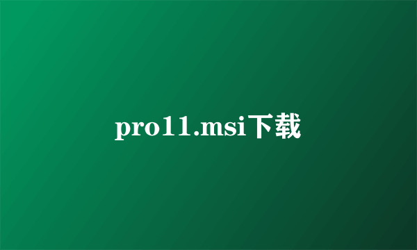 pro11.msi下载