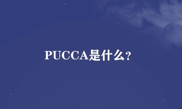 PUCCA是什么？