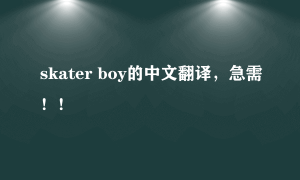 skater boy的中文翻译，急需！！