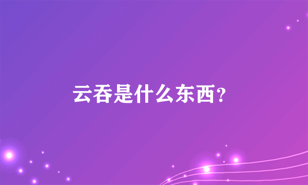 云吞是什么东西？