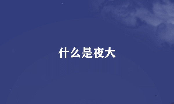 什么是夜大