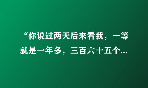 “你说过两天后来看我，一等就是一年多，三百六十五个日子不好过，”是哪首歌的歌词了？