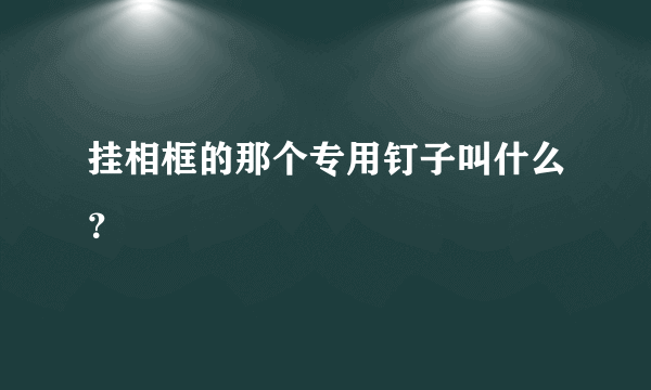 挂相框的那个专用钉子叫什么？