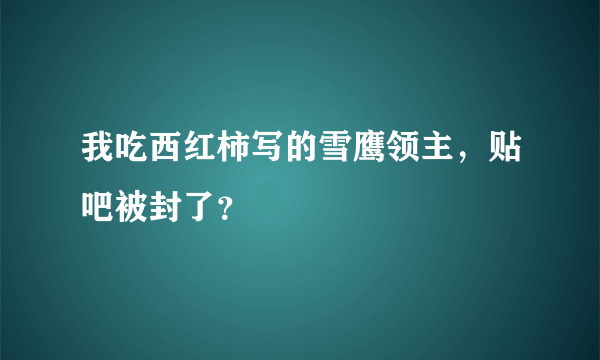 我吃西红柿写的雪鹰领主，贴吧被封了？