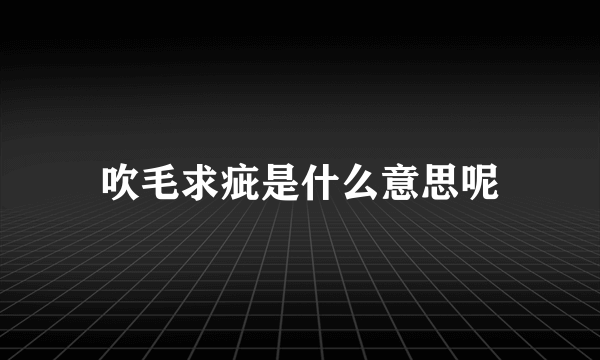 吹毛求疵是什么意思呢