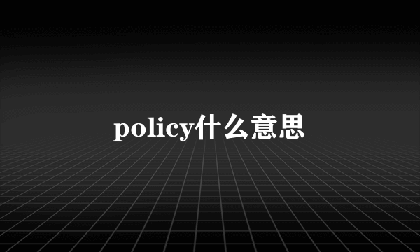 policy什么意思