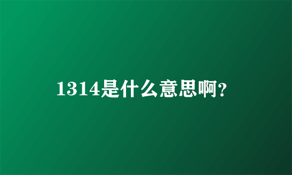 1314是什么意思啊？