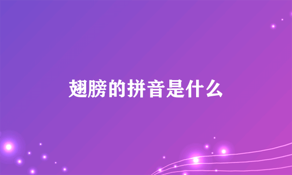 翅膀的拼音是什么