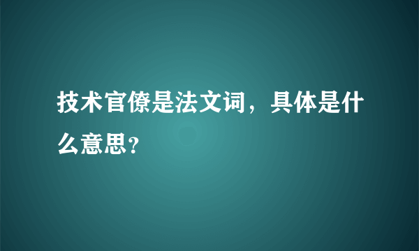 技术官僚是法文词，具体是什么意思？