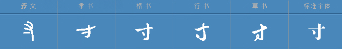 “寸”字可以加哪些偏旁能够组成什么字？