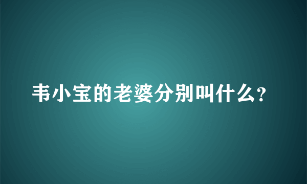 韦小宝的老婆分别叫什么？