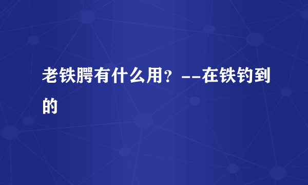 老铁腭有什么用？--在铁钓到的