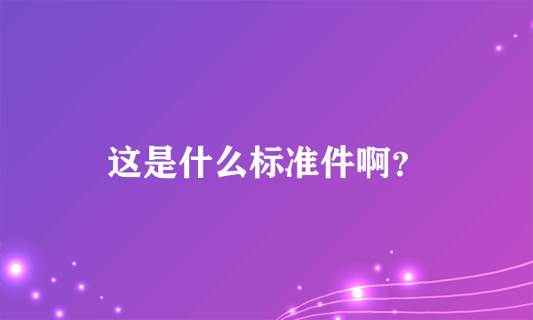 这是什么标准件啊？