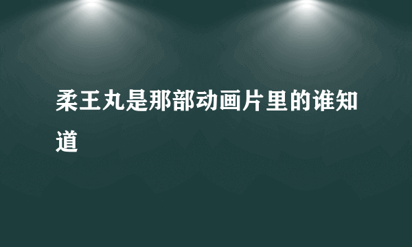 柔王丸是那部动画片里的谁知道