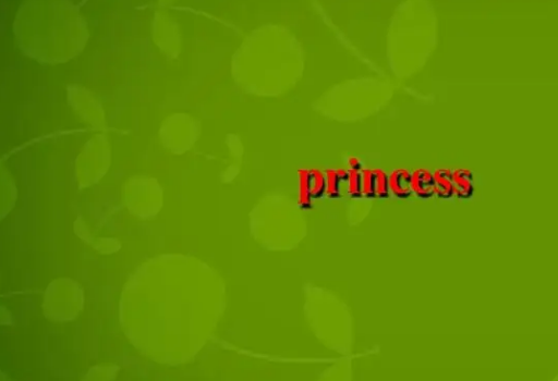 princess是什么意思英语