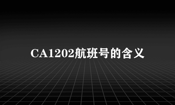 CA1202航班号的含义