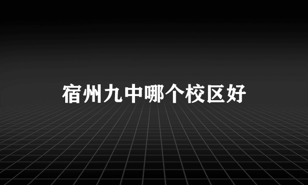 宿州九中哪个校区好