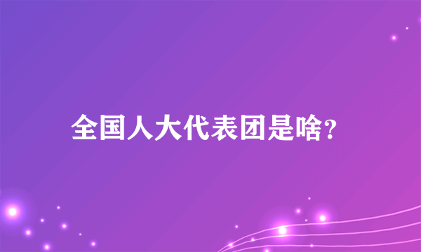 全国人大代表团是啥？