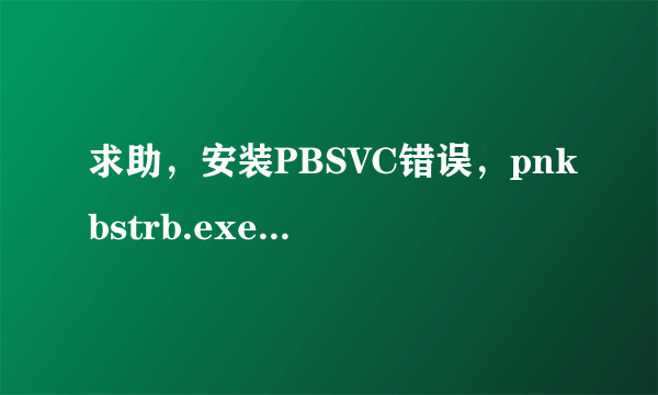 求助，安装PBSVC错误，pnkbstrb.exe会自动消失