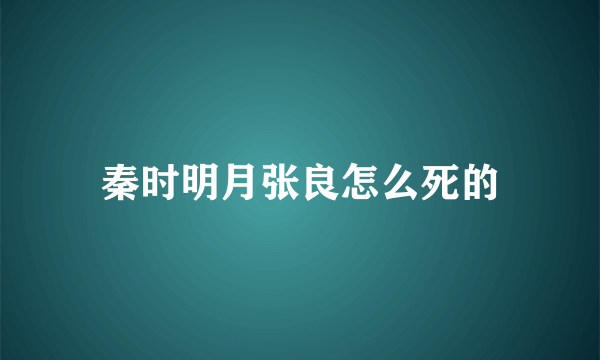 秦时明月张良怎么死的