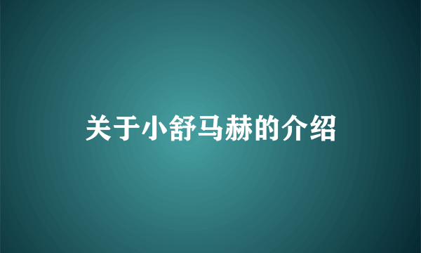 关于小舒马赫的介绍