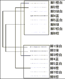 交叉网线的线序是什么？