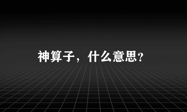 神算子，什么意思？