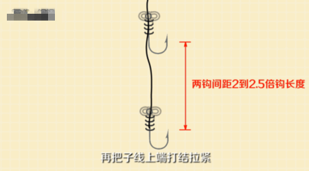 钓鱼的步骤与方法