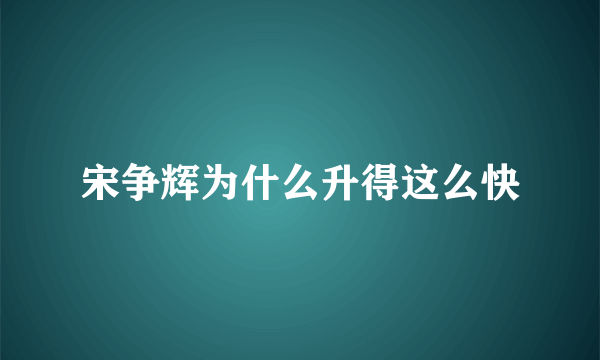 宋争辉为什么升得这么快