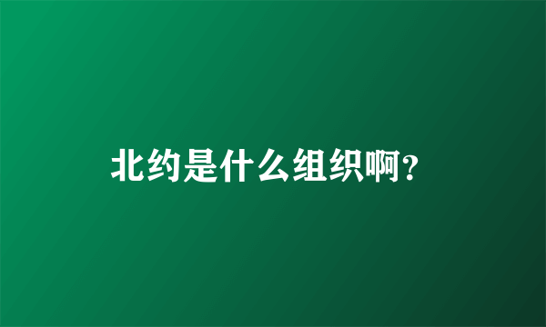 北约是什么组织啊？