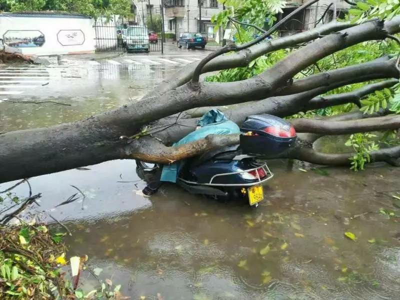 这次河南大暴雨对河南带来了哪些负面影响？