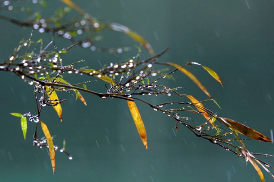 一层秋雨一层凉了是出自哪里的词句