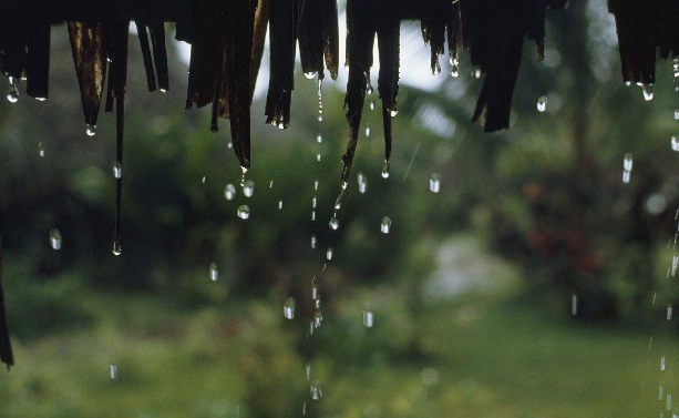 小雨滴是怎么形成的？